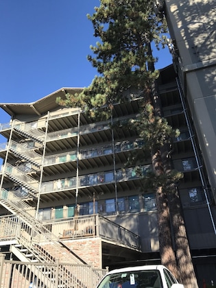 Gallery - Pepper Tree Inn