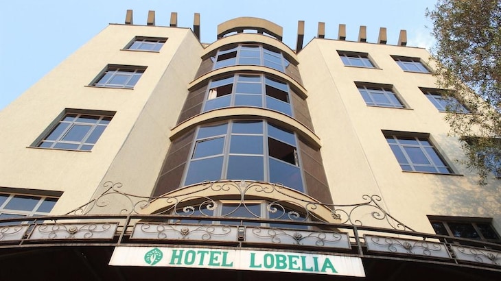 Gallery - Hotel Lobelia