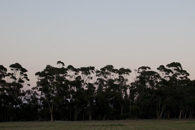 Gallery - Blue Gum Country Estate