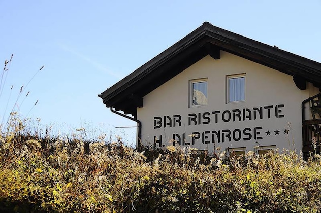 Gallery - Hotel Alpenrose