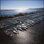 Best Western Plus Island Palms Hotel & Marina