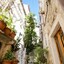 Appartement 2 chambres à 20000, Dubrovnik
